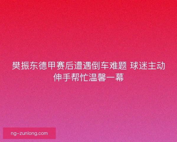 樊振东德甲赛后遭遇倒车难题 球迷主动伸手帮忙温馨一幕