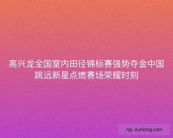 高兴龙全国室内田径锦标赛强势夺金中国跳远新星点燃赛场荣耀时刻