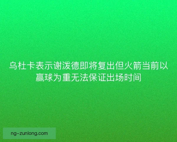 乌杜卡表示谢泼德即将复出但火箭当前以赢球为重无法保证出场时间 乌杜卡表示谢泼德即将复出但火箭当前以赢球为重无法保证出场时间